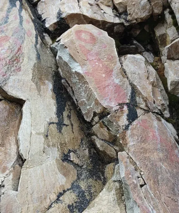 Лоси и поедающий солнце медведь: археологи расшифровали писаницу в Тындинском районе