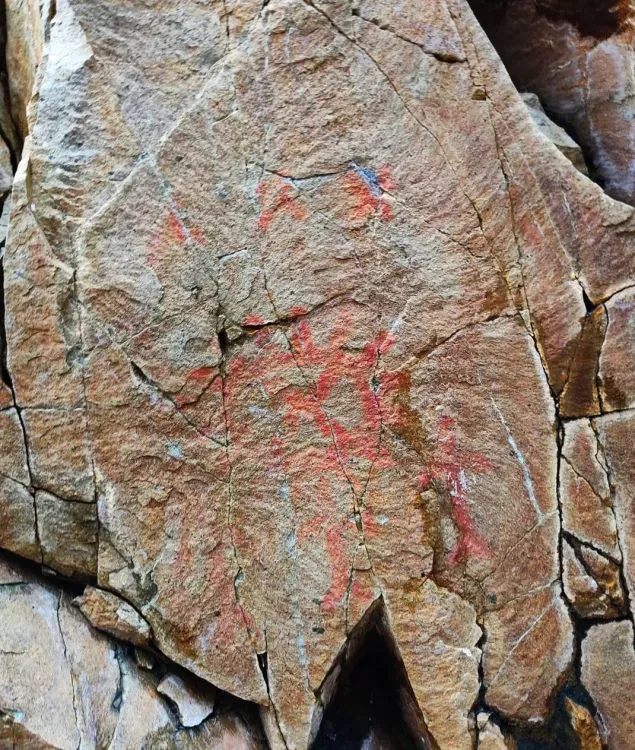 Лоси и поедающий солнце медведь: археологи расшифровали писаницу в Тындинском районе