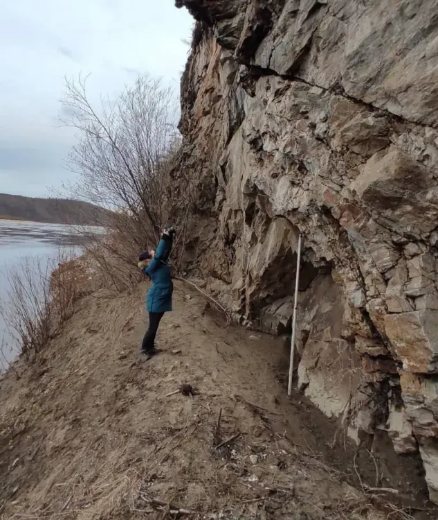 Лоси и поедающий солнце медведь: археологи расшифровали писаницу в Тындинском районе