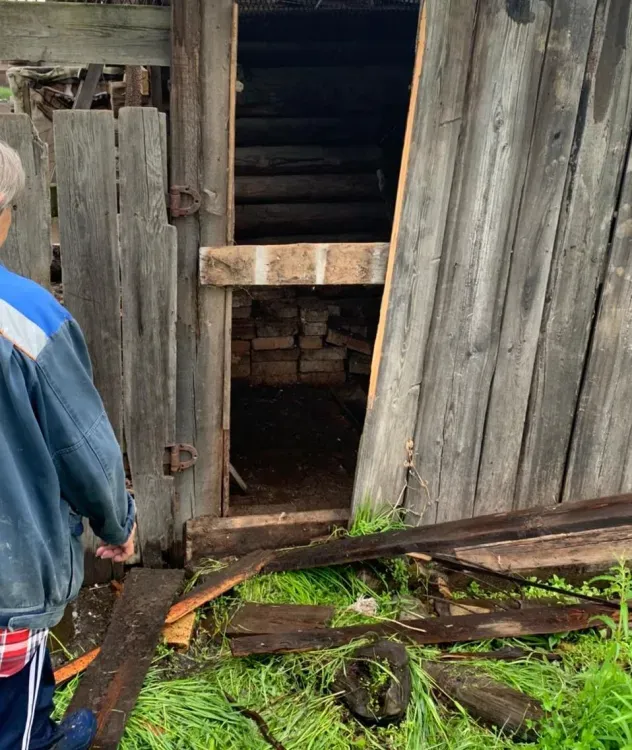 Медведь в амурском селе растерзал 10 птиц при нападении на курятник