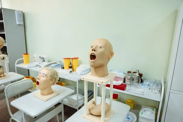 Медиков с профессиональным праздником поздравили первые лица области