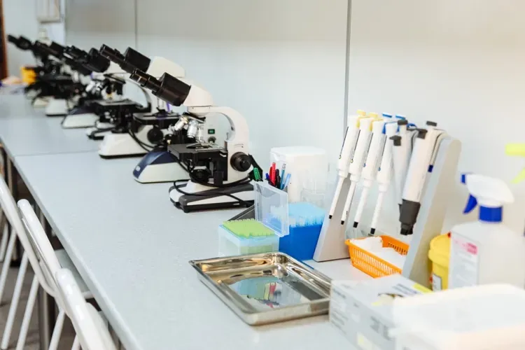 Медиков с профессиональным праздником поздравили первые лица области