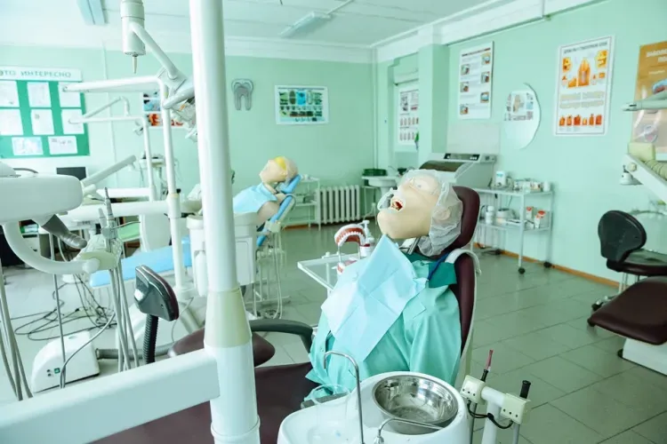 Медиков с профессиональным праздником поздравили первые лица области