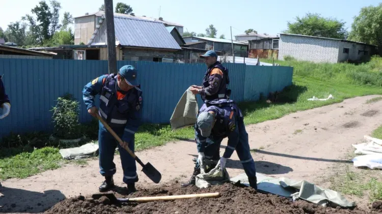 Дамбы против паводка строят в селах Благовещенского района