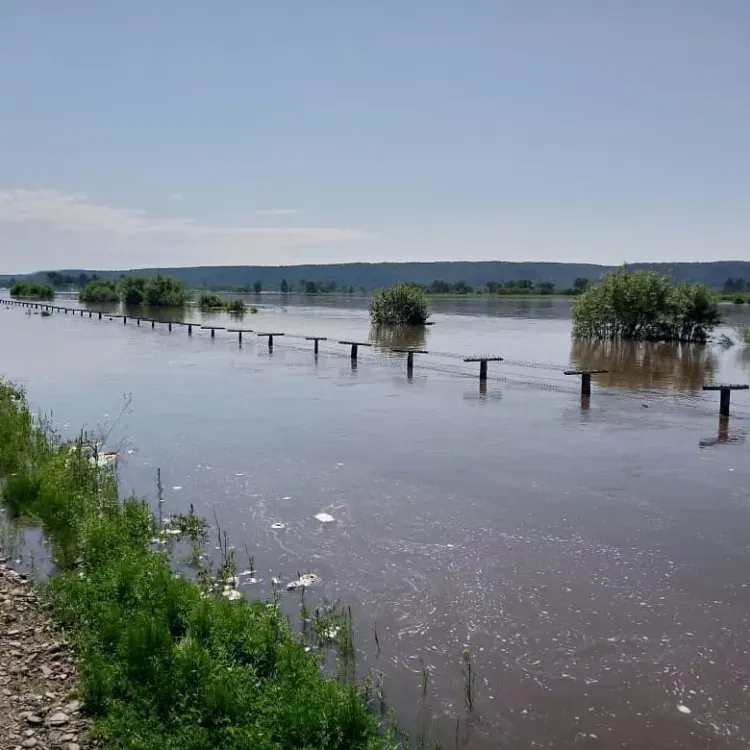 Заказники Амурской области готовятся к большой воде