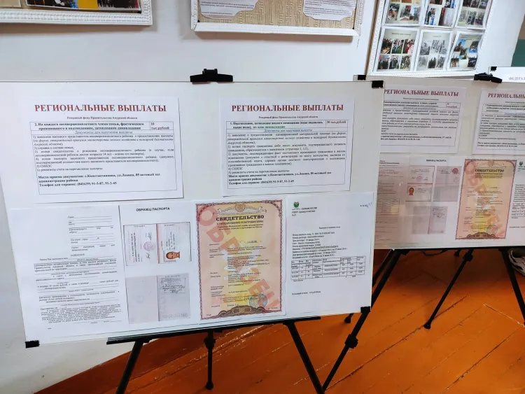 Губернатор и замминистра МЧС оценили готовность Константиновского района к пику паводка