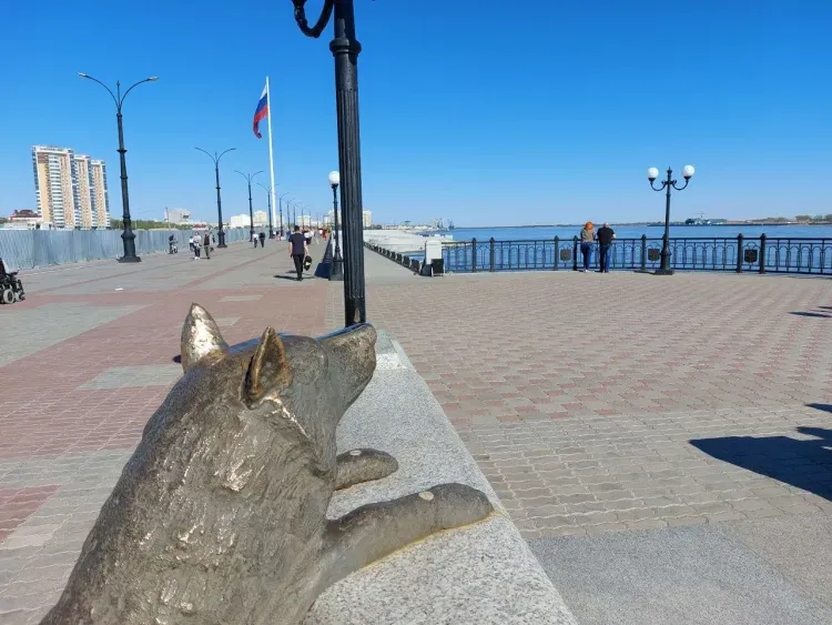 Небольшая облачность, слабый ветер: погода 26 июня в Благовещенске