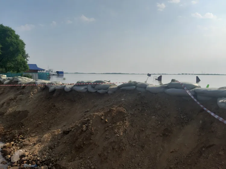 Река Зея прорвалась во дворы жителей Владимировки