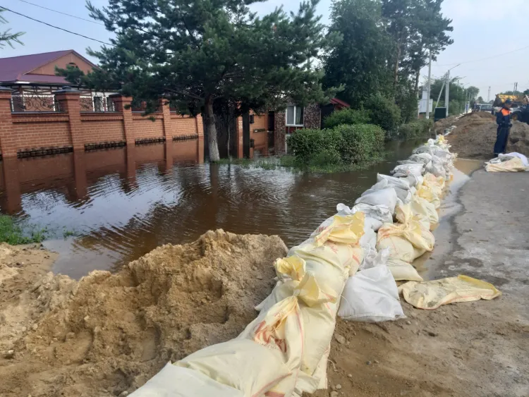 Река Зея прорвалась во дворы жителей Владимировки