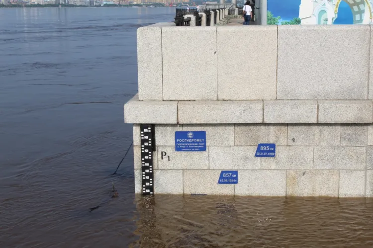 Река Зея прорвалась во дворы жителей Владимировки