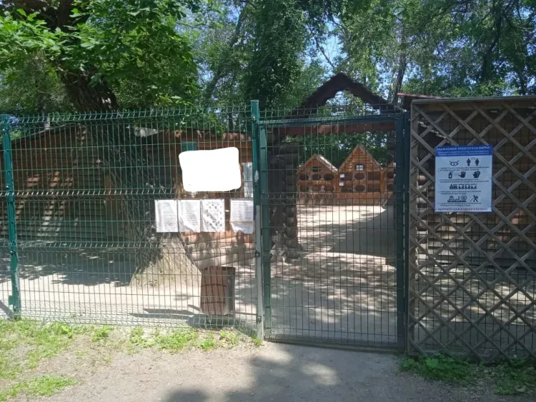 Животных эвакуировали из зоопарка в благовещенском Первомайском парке