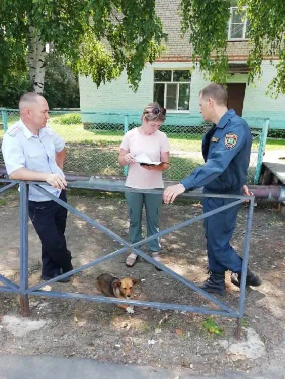 Детей и пожилых амурчан эвакуируют в Архаринском районе
