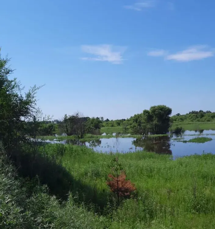 Два села Тамбовского района попали в опасную зону, несмотря на удаленность от Амура