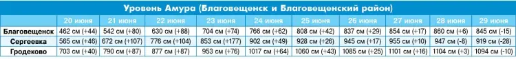 Захлебнулись по самые крыши: как паводок захватил Благовещенский район