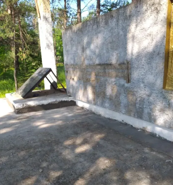 В парке отдыха амурского села появятся зона для костра и тренажеры