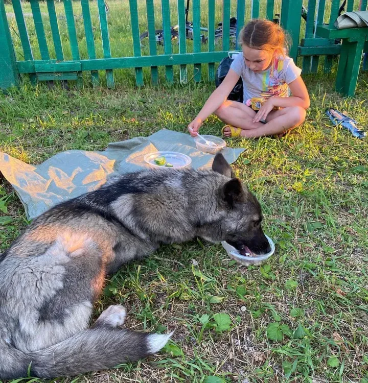 Горячий ужин в полевых условиях для жителей села Игнатьево устроили рядом с храмом