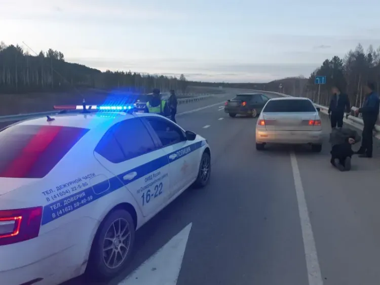 Житель Тынды с наркотиками пытался скрыться от полицейских на федеральной дороге