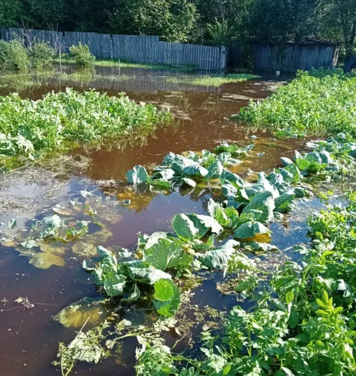 Река подтопила приусадебные участки в Норске Селемджинского района