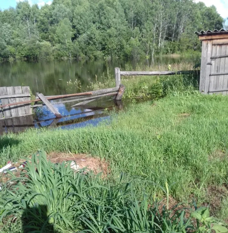 Река подтопила приусадебные участки в Норске Селемджинского района