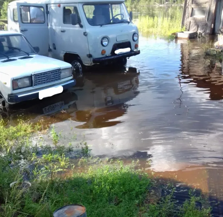 Река подтопила приусадебные участки в Норске Селемджинского района