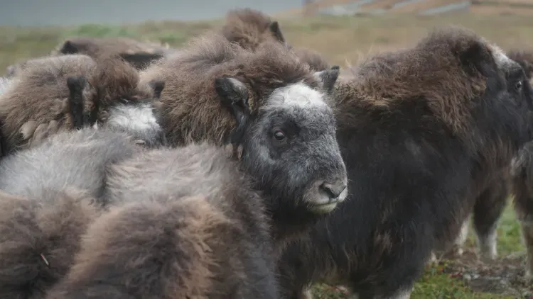 Юрий Трутнев оценил туристические проекты на Дальнем Востоке