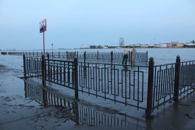 Закрытый для туристов Китай амурчане наблюдают с борта теплохода