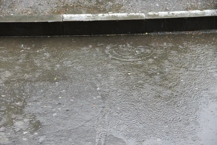 Дождливо, до 21 градуса тепла: погода 31 июля в Благовещенске