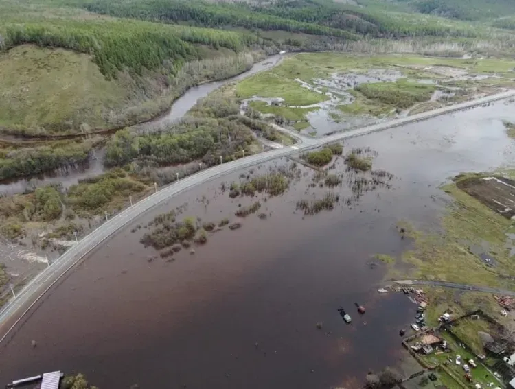 Вода подтопила за сутки 38 домов в Амурской области 