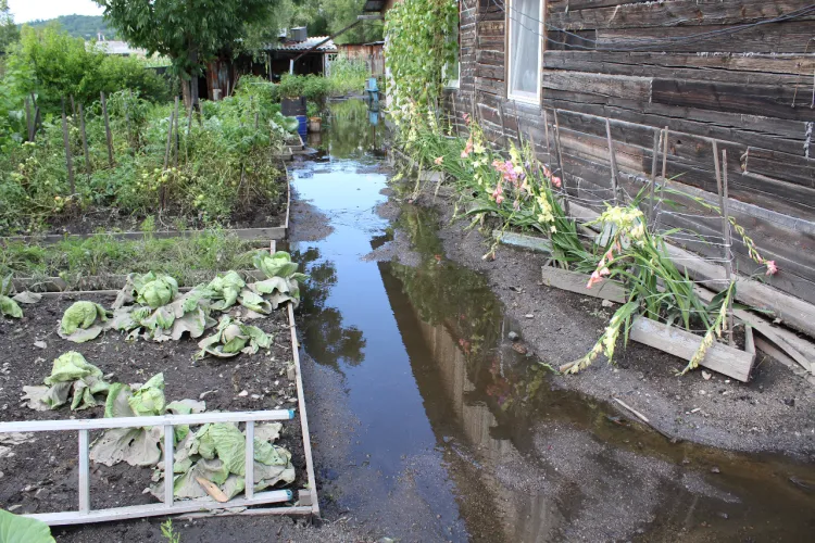 Вторая волна: фотоподборка августовского паводка в Приамурье