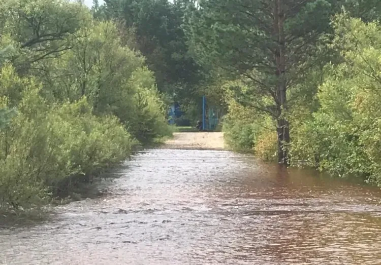 Детский лагерь эвакуируют под Белогорском 