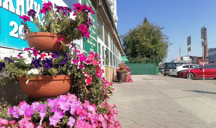 На севере пройдут дожди: погода в Приамурье 6 сентября