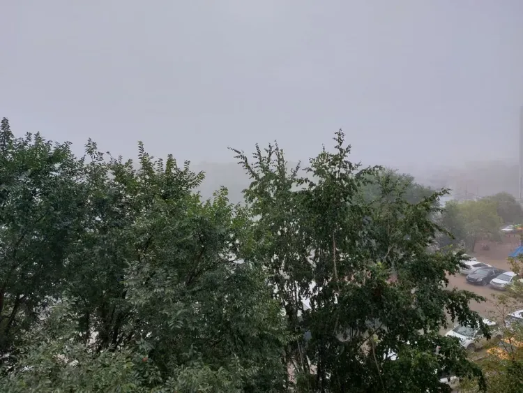 Благовещенск накрыл густой туман: задержаны авиарейсы 