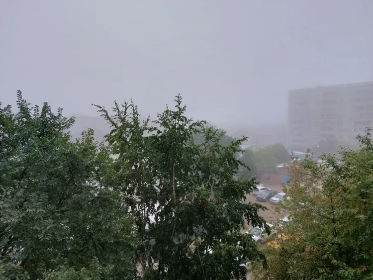 Благовещенск накрыл густой туман: задержаны авиарейсы 