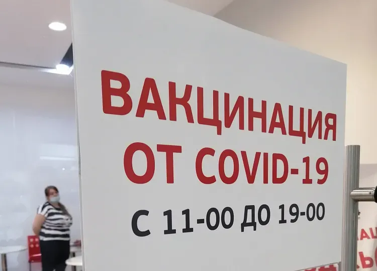 Совместимость вакцин от коронавируса и гриппа проверят в России