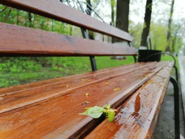 Дожди накроют Амурскую область 27 сентября