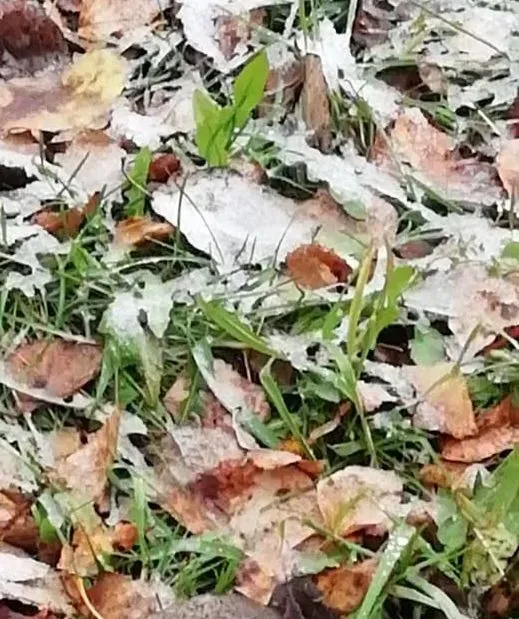 Первый снег выпал на улицы Тынды