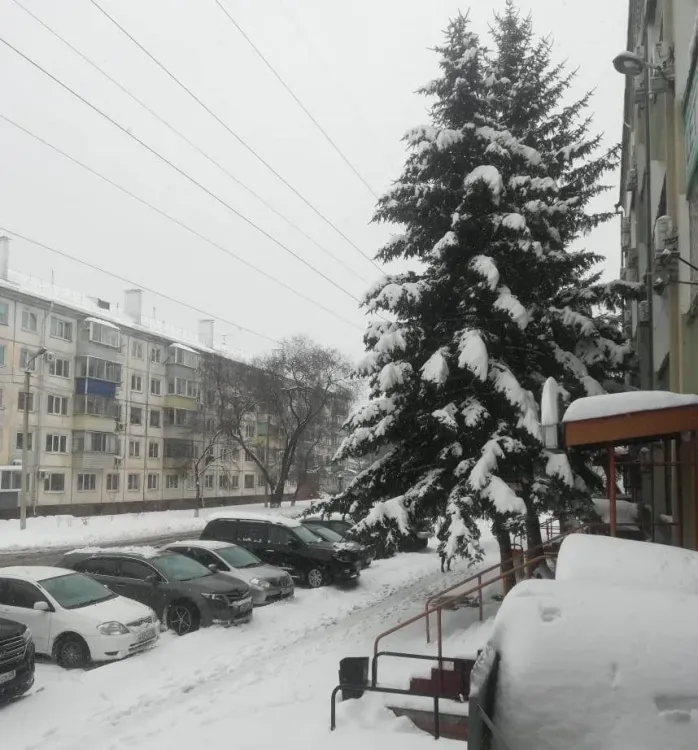Мокрый снег, дождь и сильный ветер ожидаются в Приамурье в выходные
