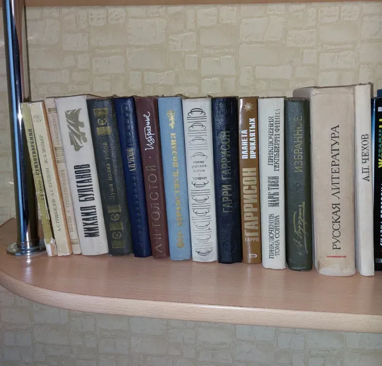 В библиотеке Октябрьского района появилась зона для читателей с ОВЗ