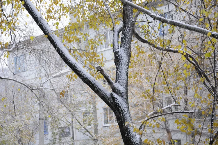 Снег на Покров выпал в городах и районах Приамурья