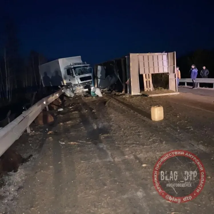 Бараны стали участниками ДТП в Магдагачинском районе