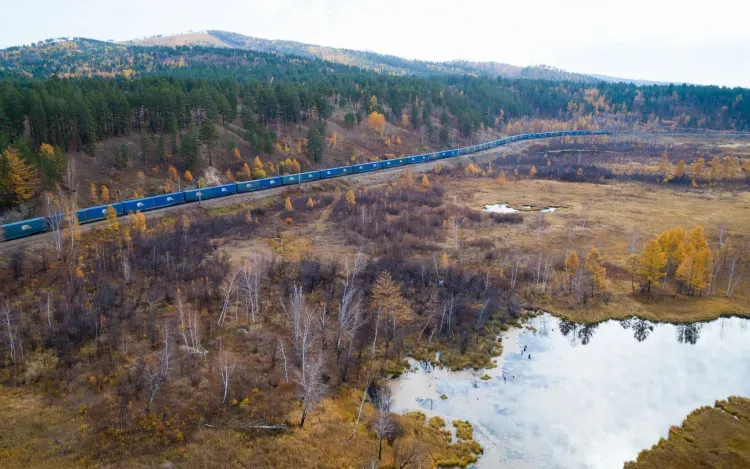 Движение поездов на станции Ледяная, прерванное из-за ДТП на переезде, восстановлено