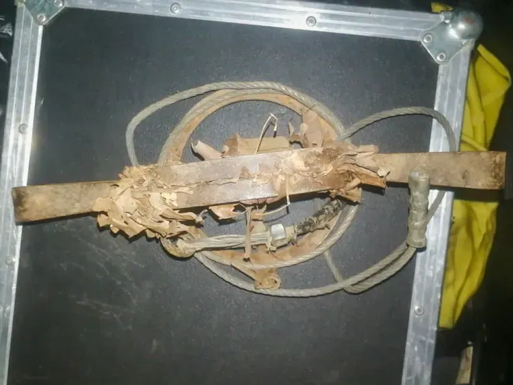 Тигренка спасли из капкана в Приморье