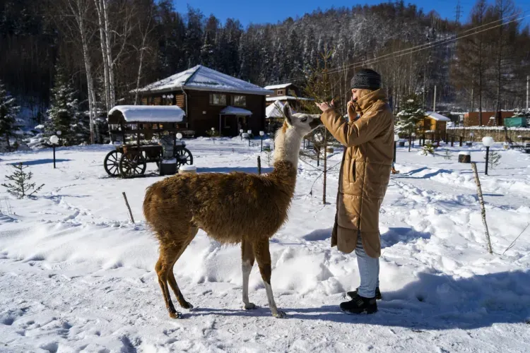 Туроператоры из городов России могут отправить туристов в Амурскую область