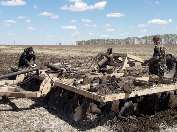 Стипендии впервые получат студенты Амурского казачьего колледжа, собирающие сою
