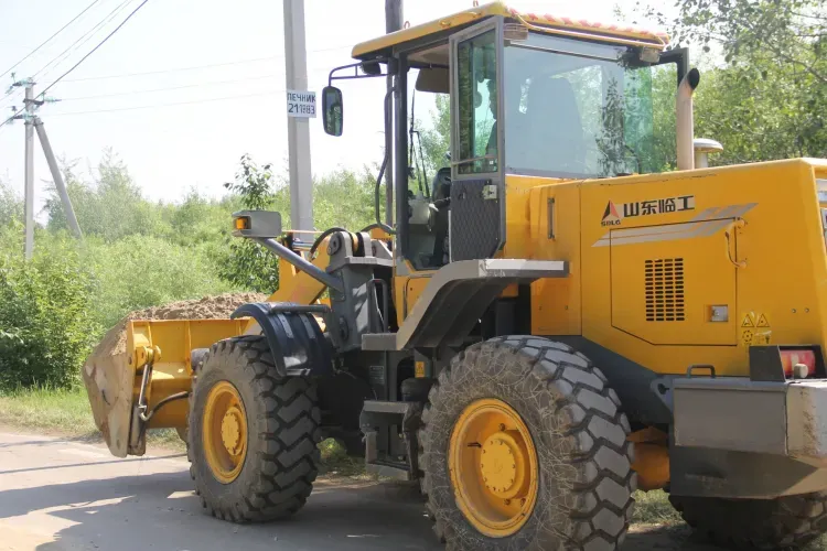Скотомогильники ликвидируют в селах Амурской области 