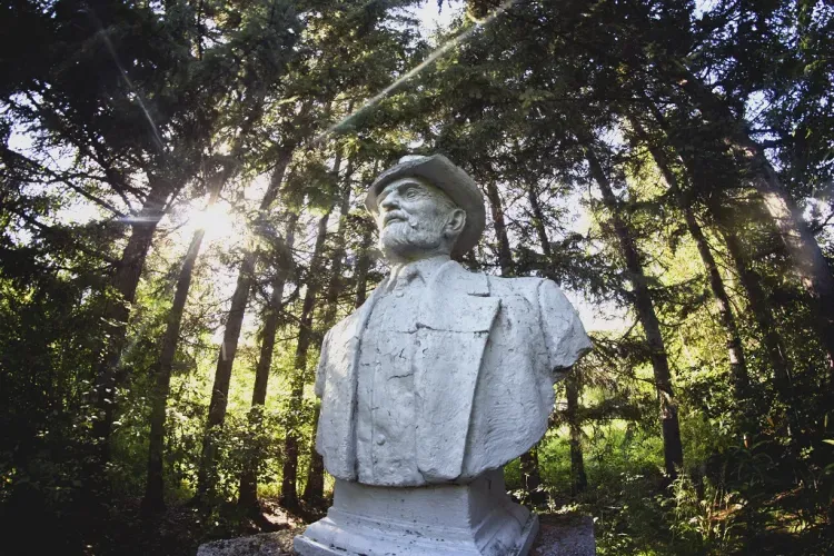 Уникальный лес, созданный советскими учеными, спасут в Приамурье