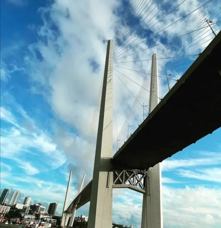 Мосты, аквапарк и сафари-парк построят на острове Русский во Владивостоке