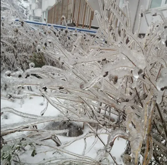 Ледяной дождь 2020 года вспоминают во Владивостоке 