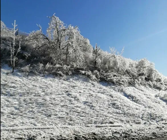 Ледяной дождь 2020 года вспоминают во Владивостоке 