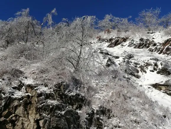 Ледяной дождь 2020 года вспоминают во Владивостоке 